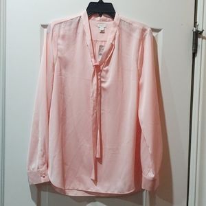JCrew vneck Blouse - pink and silky